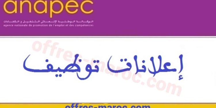 تشغيل 1151 منصب من تقنيين وعمال ومؤهلين بالقطاع الخاص في عدة مجالات وتخصصات وبعدة مدن