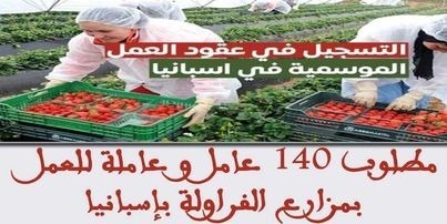 مطلوب 140 عامل و عاملة للعمل بمزارع الفراولة بإسبانيا هذا الصيف 2024